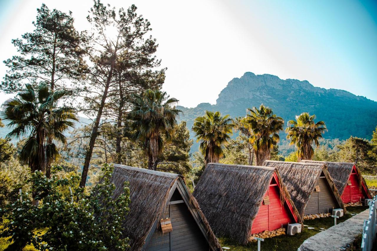 The Hill Glamping Çıralı Villa Dış mekan fotoğraf