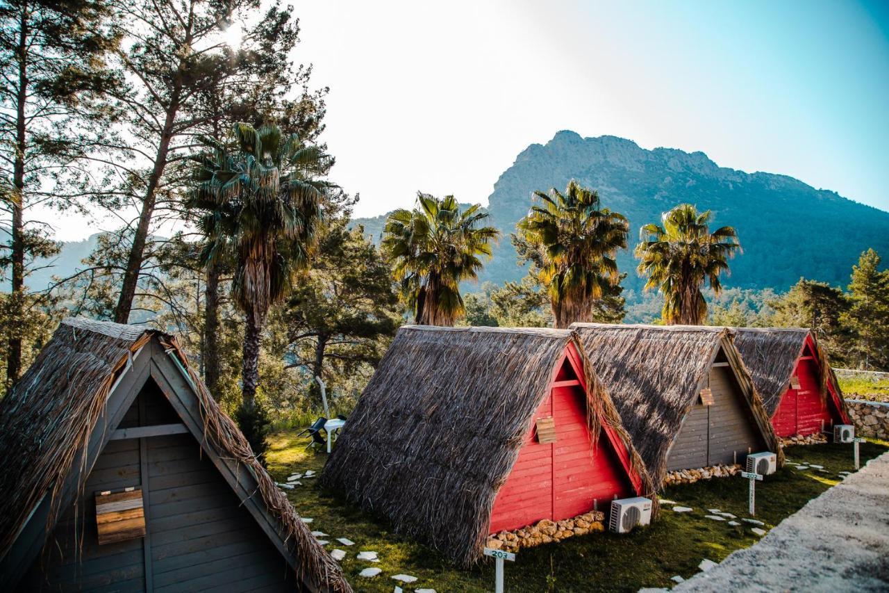 The Hill Glamping Çıralı Villa Dış mekan fotoğraf